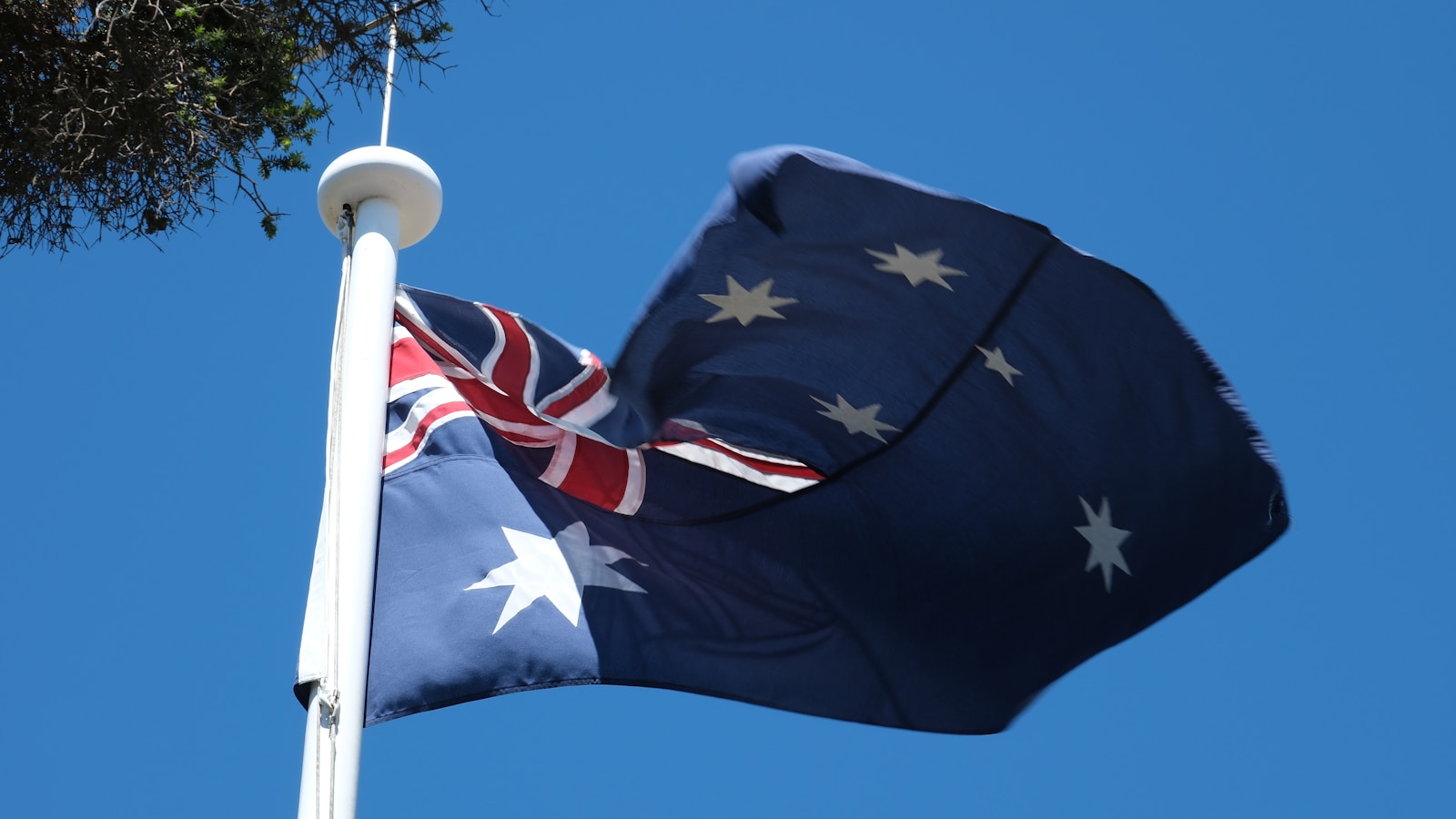 A flag flying high in the sky next to a tree