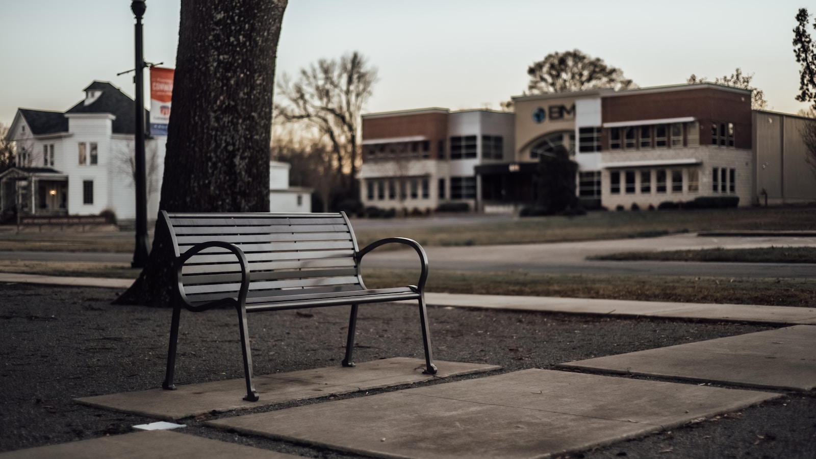 black metal bench near brown tree during daytime